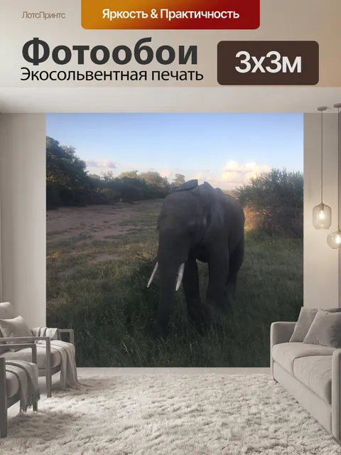 Фотообои Африканское сафари