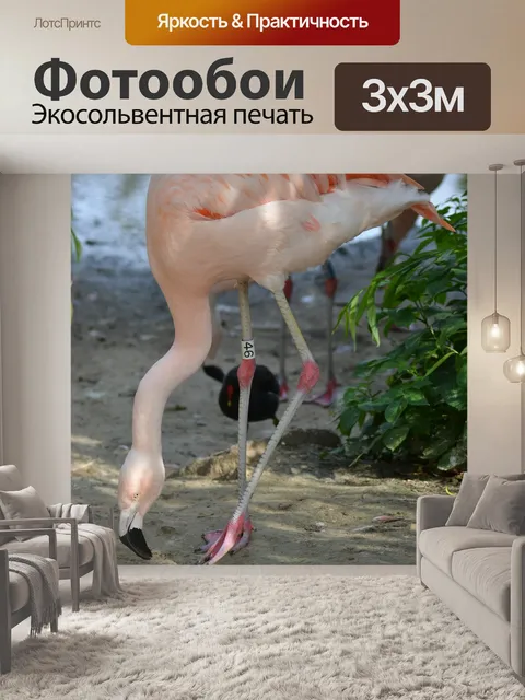 Фотообои Розовые фламинго