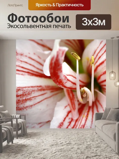 Фотообои Цветок