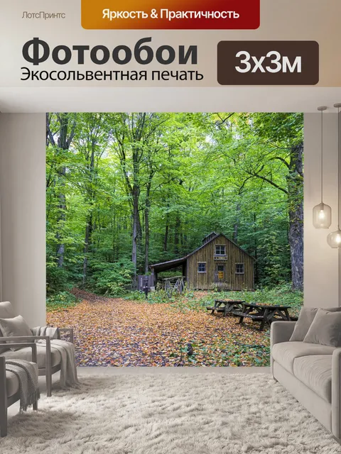 Фотообои Коттедж