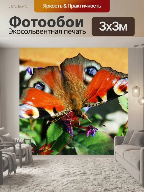 Фотообои Бабочка