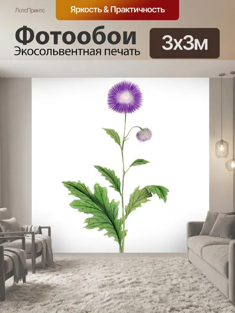 Фотообои Расторопша Уайлдфлауэр Винтаж Клипарт