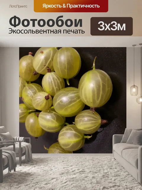 Фотообои Крыжовник 3