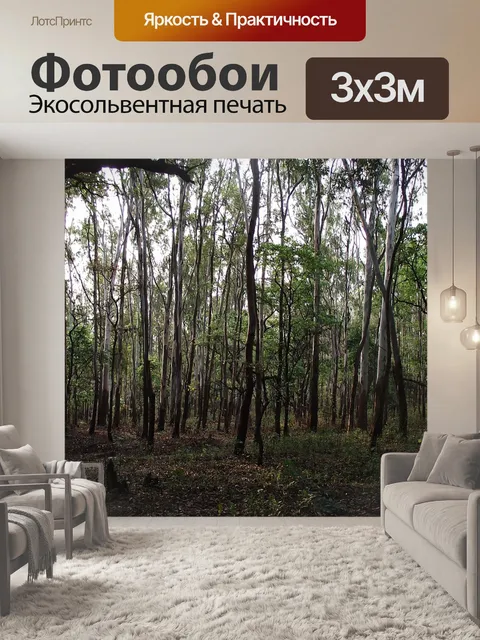 Фотообои Лес