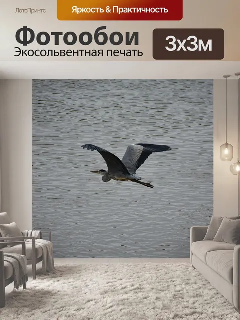 Фотообои Животное