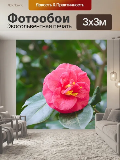 Фотообои Цветок из Японии