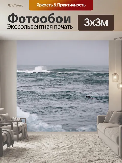 Фотообои Тюлень