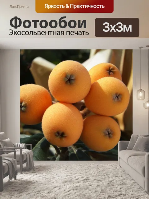 Фотообои Большой