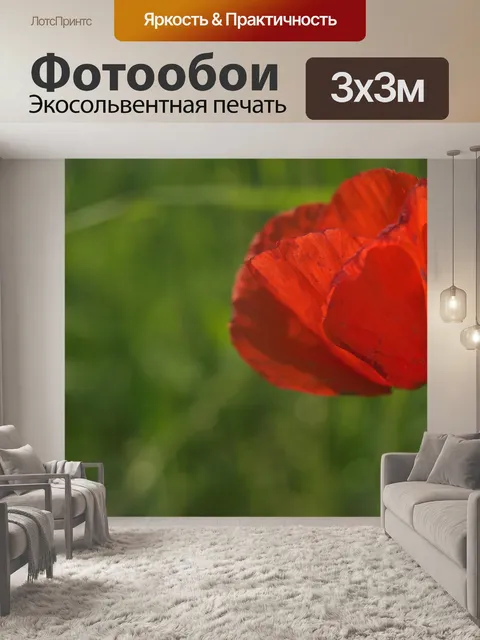 Фотообои Тюльпан