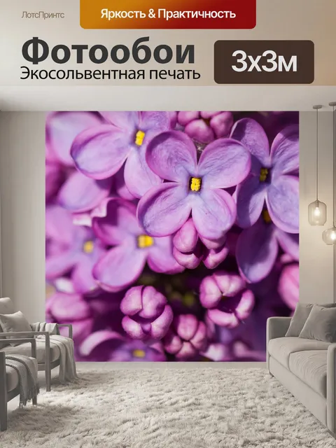Фотообои фиолетовый сиреневый