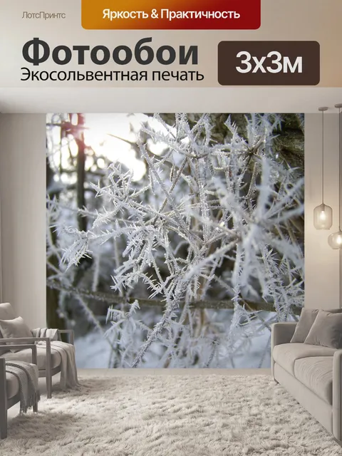 Фотообои Фрост
