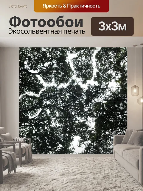 Фотообои Лес