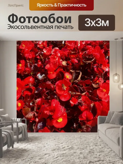 Фотообои Цветок
