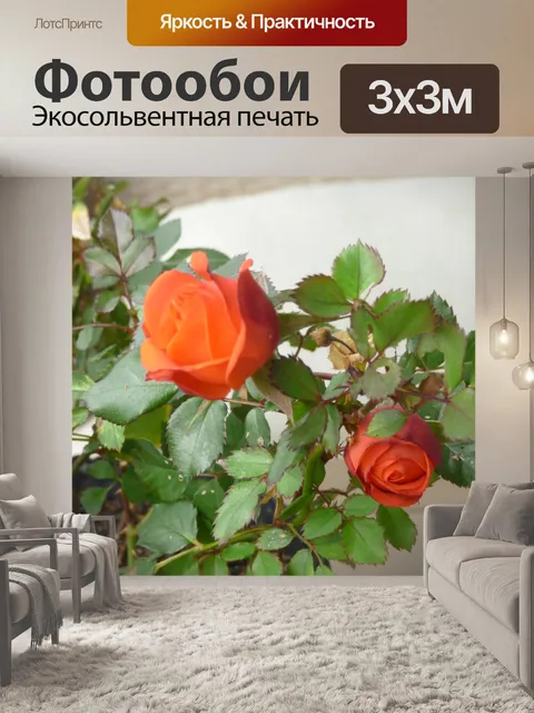 Фотообои Роза