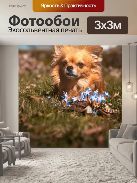 Фотообои Собака