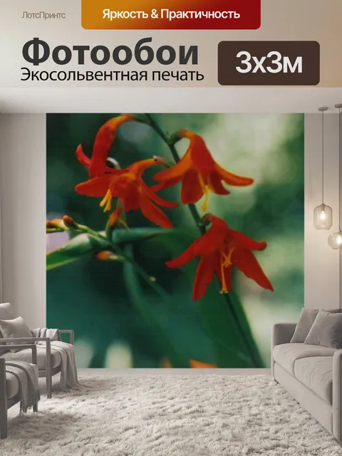 Фотообои Красный цветок