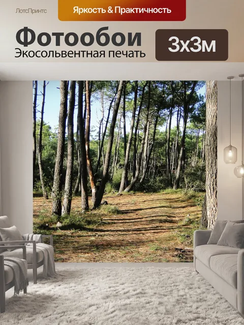 Фотообои Сосна