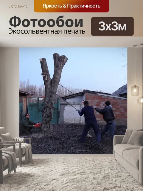 Фотообои Спил