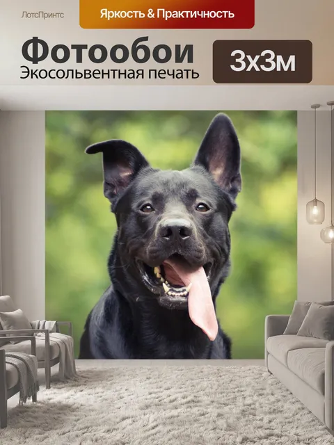 Фотообои Немецкий шепрадор