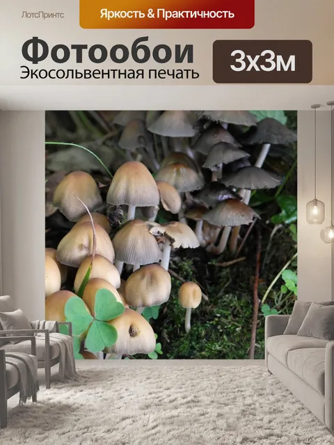 Фотообои Лесные грибы