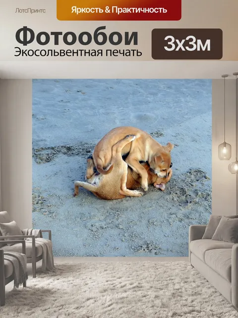 Фотообои Щенок