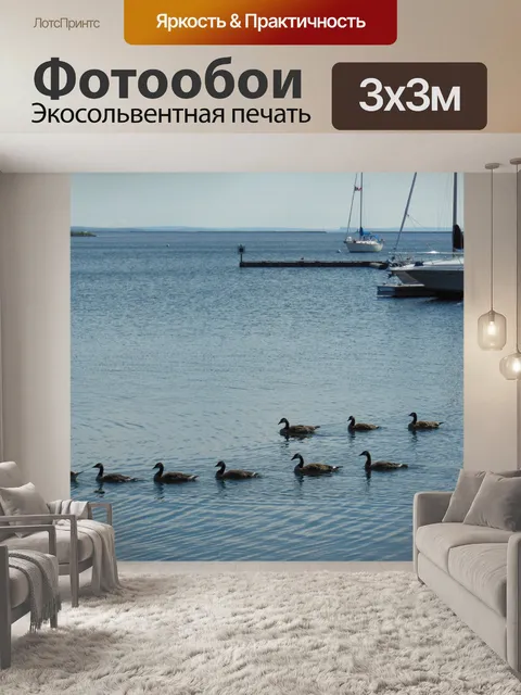 Фотообои Утиная семья