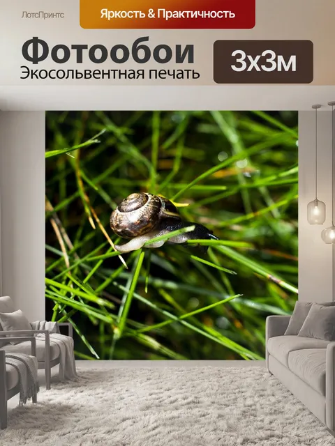 Фотообои Улитка