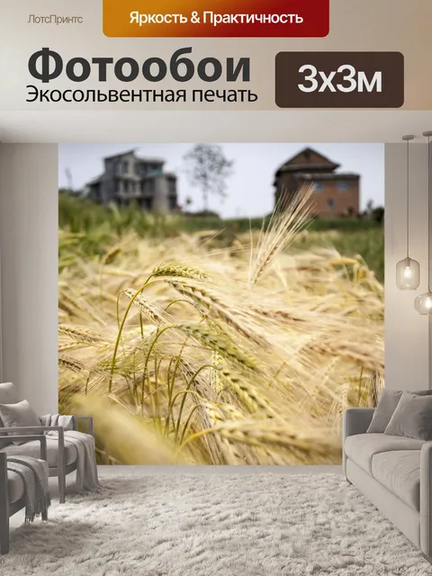 Фотообои Пшеница