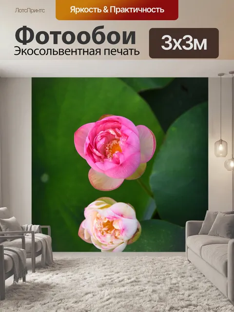 Фотообои Золотой лотос розовый границы