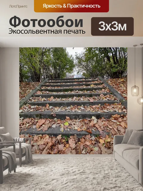 Фотообои 14. 20 ноября наверху