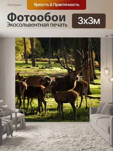 Фотообои Стадо благородных оленей косуль