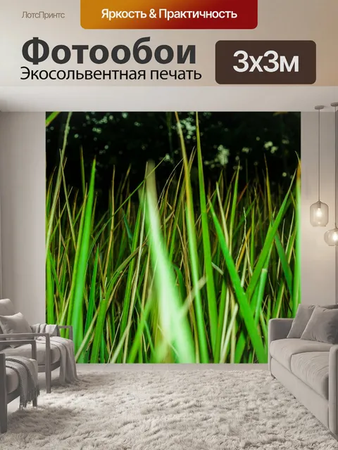 Фотообои Дикий цветок в Таиланде
