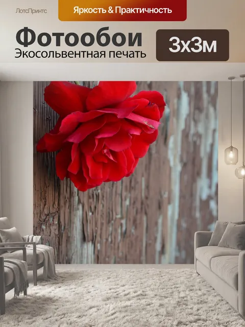 Фотообои Розы