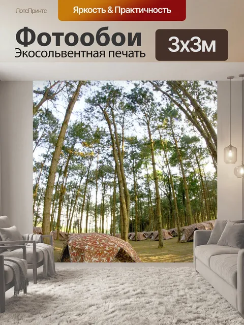 Фотообои кемпинг в сосновом Форрест на Фу Хин Рон
