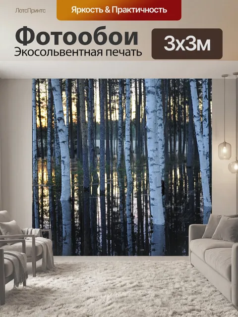 Фотообои Березы