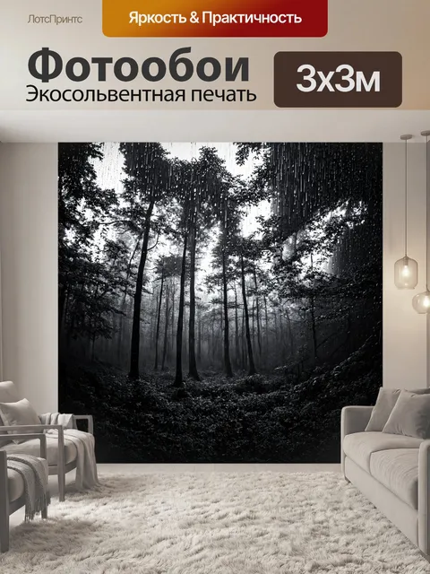фотообои лес в стиле черно-белый: панорама леса во время дождя