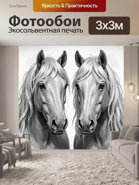 Фотообои Два белых коня крупным планом