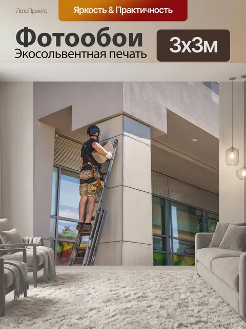Фотообои Подвесные ящики птица