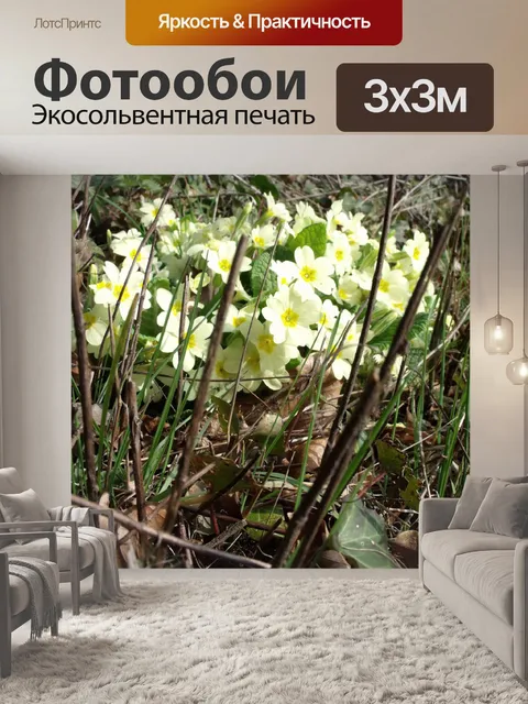 Фотообои Дикие Первоцветы