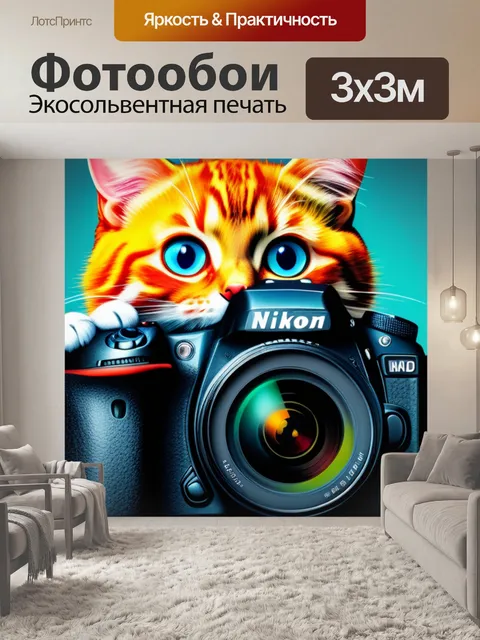 Фотообои с котиком держись смешной
