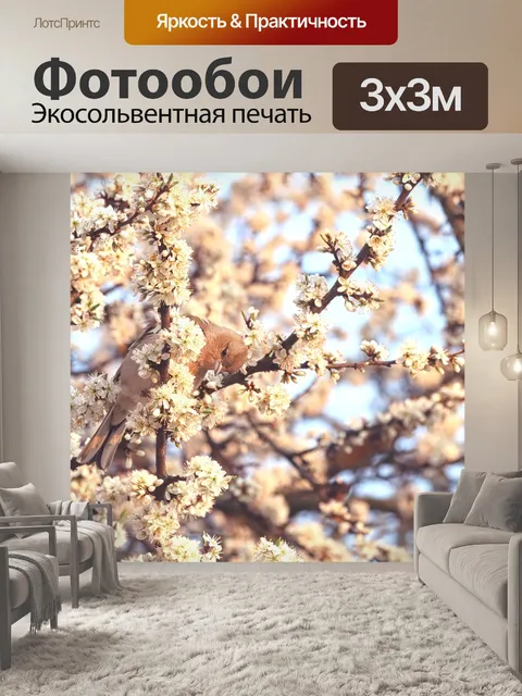 Фотообои Белые цветы