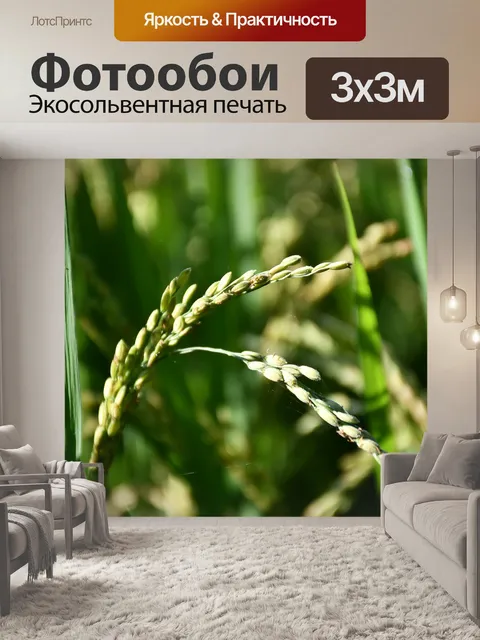 Фотообои Пэдди