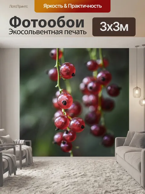 Фотообои Красная смородина