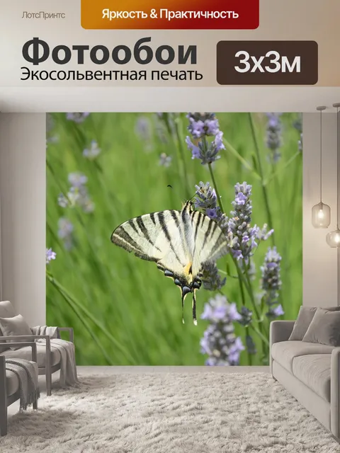 Фотообои Бабочка