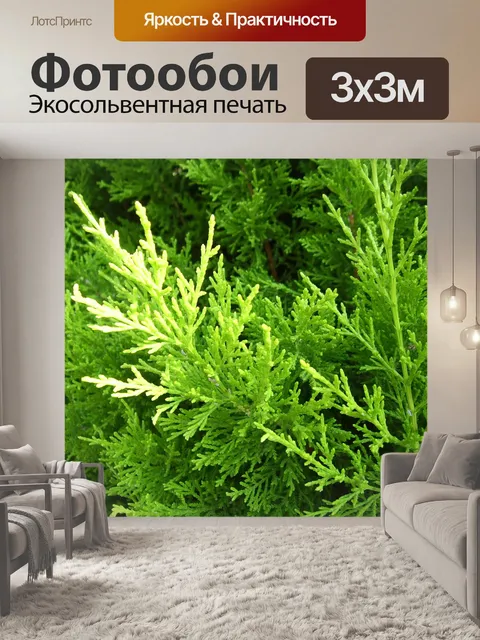 Фотообои Кипр крупным планом