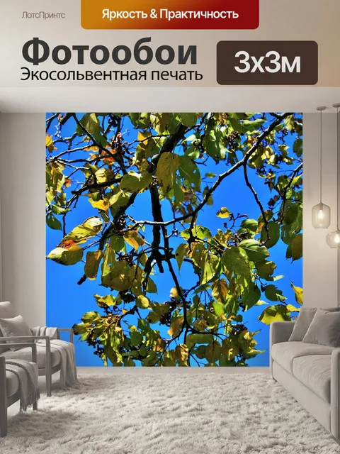 Фотообои Японский изюма