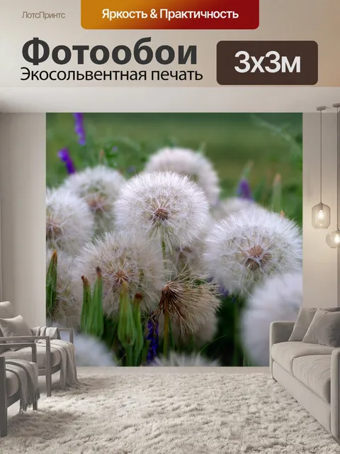 Фотообои Одуванчик