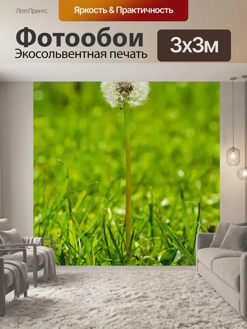 Фотообои Одуванчик