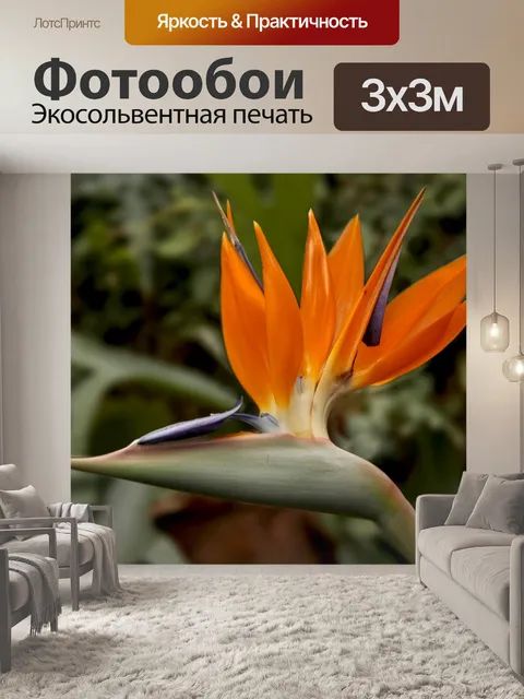 Фотообои Райская птица цветок