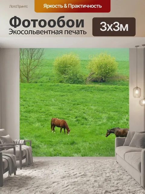 Фотообои Лошади